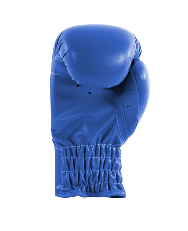 adidas-rookie-2-boxhandschuh-blau-adibk01-2